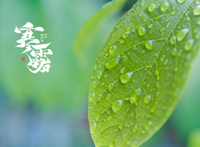 寒露將至，天氣轉寒，預防流感五大招要記牢