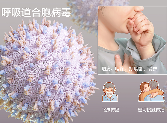 發(fā)燒、鼻塞...不一定是新冠，警惕人呼吸道合胞病毒感染！