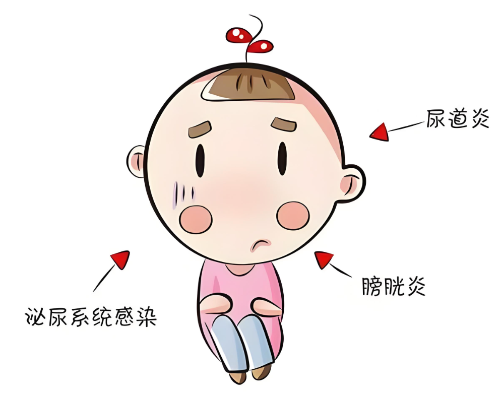 d211f487f65ddd62a1c785ad19e7fe78.png